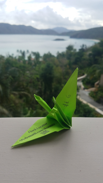Crane #6 Paper, Left in Villa Del Fina, Peters Bay ST. John US VI